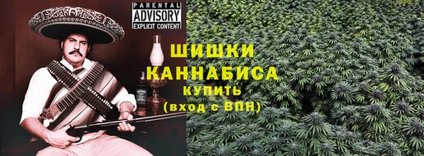 гашик Богданович
