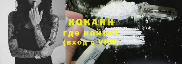 гашик Богданович