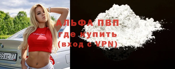 гашик Богданович