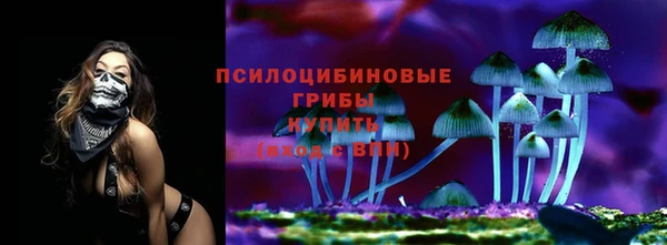 Альфа ПВП Апатиты