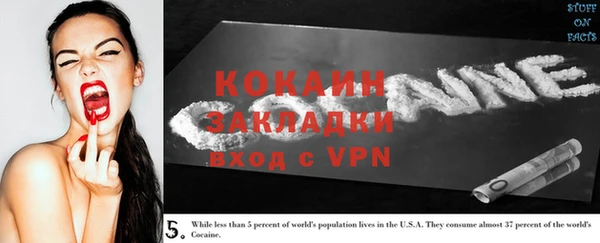 гашик Богданович