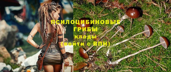 Альфа ПВП Апатиты