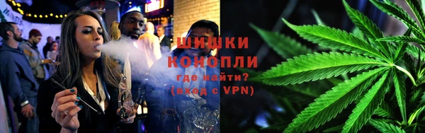 гашик Богданович
