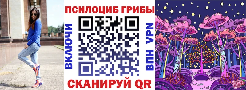 Псилоцибиновые грибы прущие грибы  сколько стоит  Волжск 